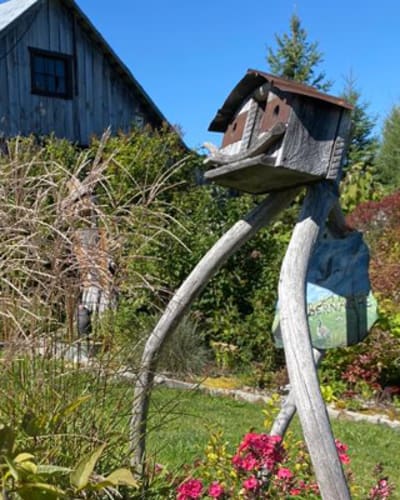 les_jardins_de_saint_maurice_1