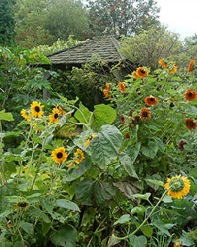 les_jardins_du_grand_portage_1