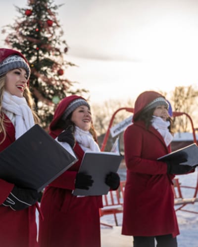 les_marches_de_noel_de_brome_missisquoi_1