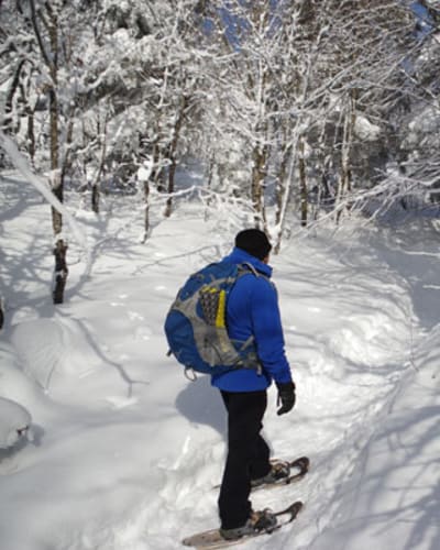 les_sentiers_de_raquette_municipalite_de_saint_donat_1