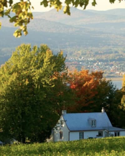 les_tours_de_lile_dorleans_1