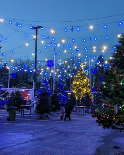 marche_des_fetes_de_dorval_1_h