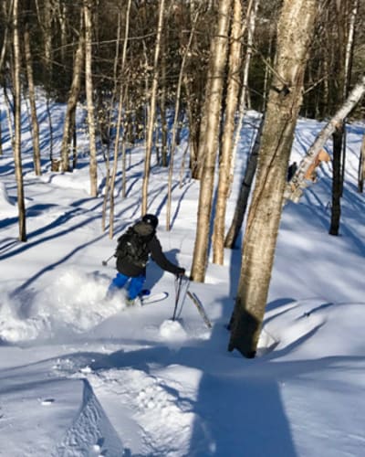 mont_alta_1_h