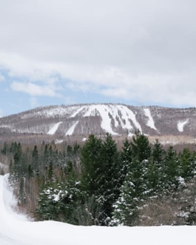 mont_comi_1_h