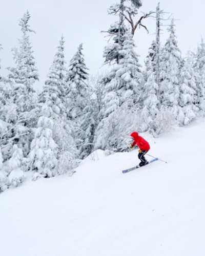 mont_sutton___station_de_ski_1_h