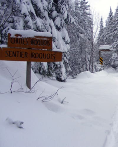 motoneige_et_quad_cet_hiver_en_petite_nation_1_h