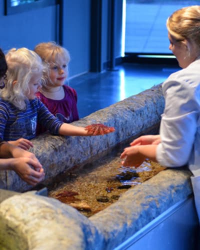 musee_du_fjord_1