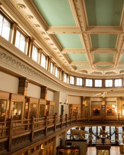 musee_redpath_1