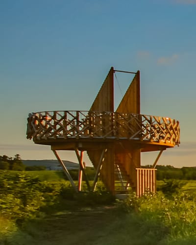 observation_doiseaux_en_petite_nation_1