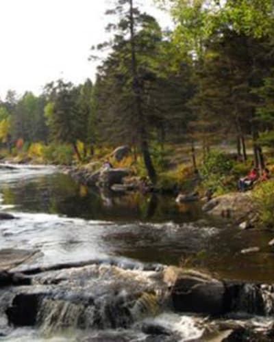 parc_de_la_riviere_du_moulin_1