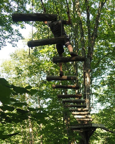 parc_de_sentiers_aeriens___foret_de_maitre_corbeau_1
