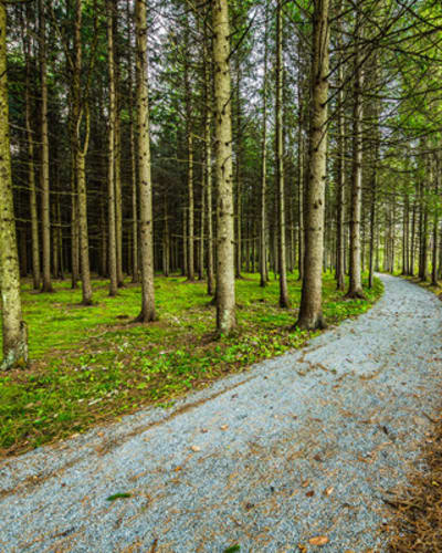 parc_des_deux_rivieres_1