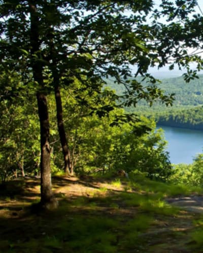 parc_des_sommets__randonnee_pedestre_et_velo_de_montagne_1