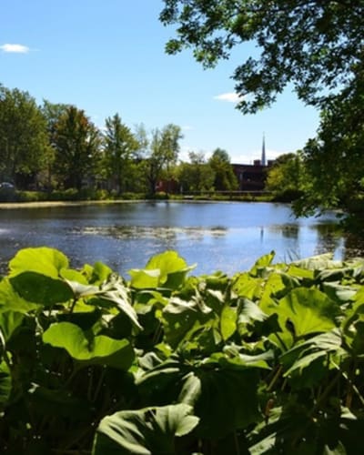 parc_du_domaine_howard_et_jardins_des_serres_municipales_carl_camirand_1