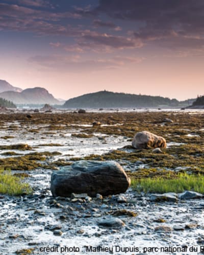 parc_national_du_bic_1