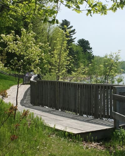 parc_regional_des_greves_1
