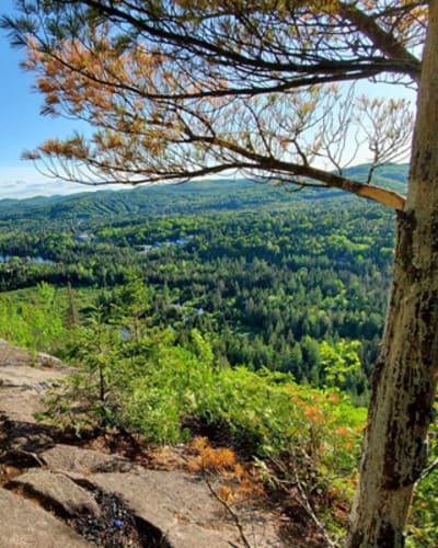 parc_regional_val_david_val_morin_secteur_dufresne_1