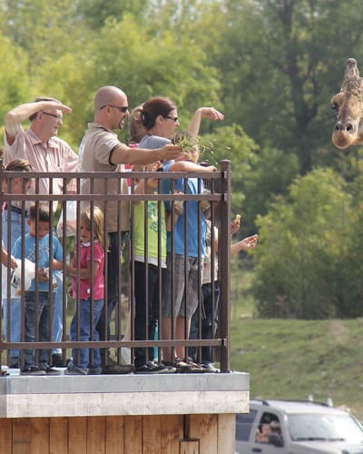 parc_safari_1