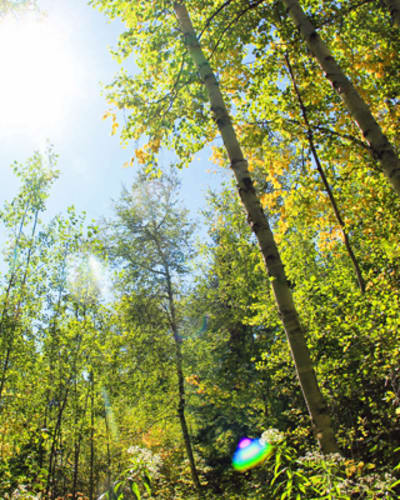 Quebec's Regional Parks