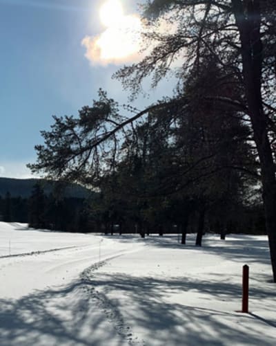 patinoire_du_lac_moore_1
