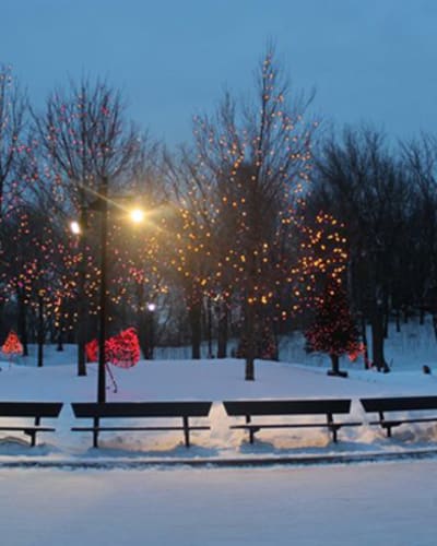 patinoire_refrigeree_du_lac_aux_castors_1_h