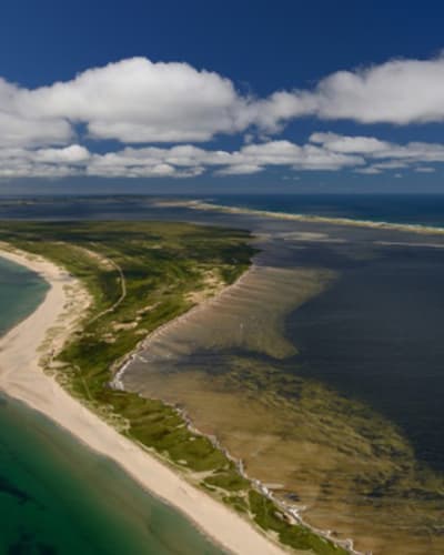 plage_de_la_dune_du_sud_cormorandiere_1