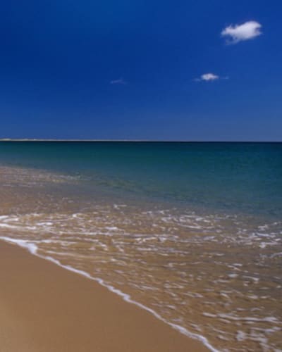 plage_de_la_grande_echouerie_1