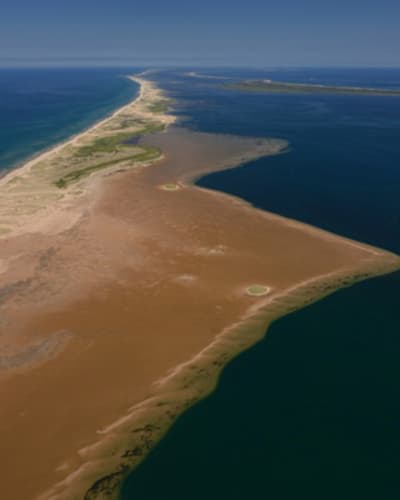 plage_de_lhopital_1