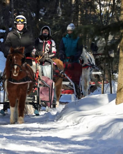 poney_des_neiges_1