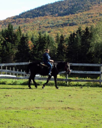 ranch_massif_du_sud_1