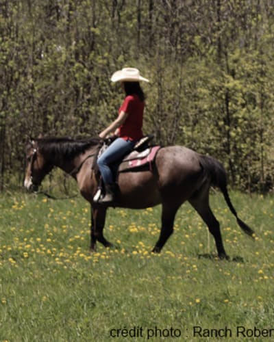 ranch_robert_1