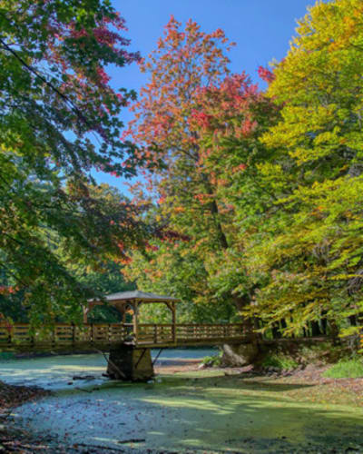 randonnees_en_plein_air_dans_le_region_de_nicolet_yamaska_1