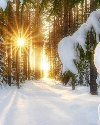 relaxation_et_nature_cet_hiver_en_petite_nation_1_h