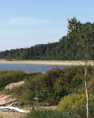 reseau_de_sentiers_multi_usages_de_la_baie_verte_1