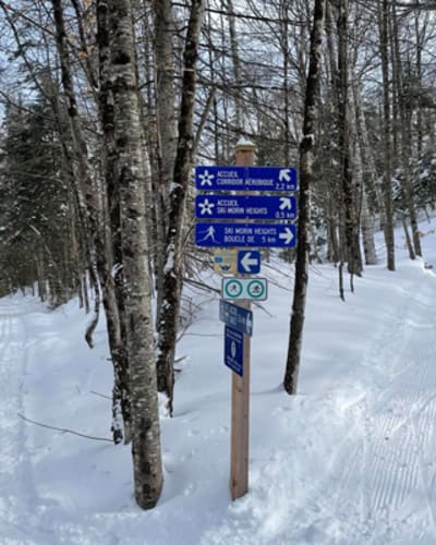 reseau_de_ski_de_fond_de_morin_heights__corridor_aerobique_1_h