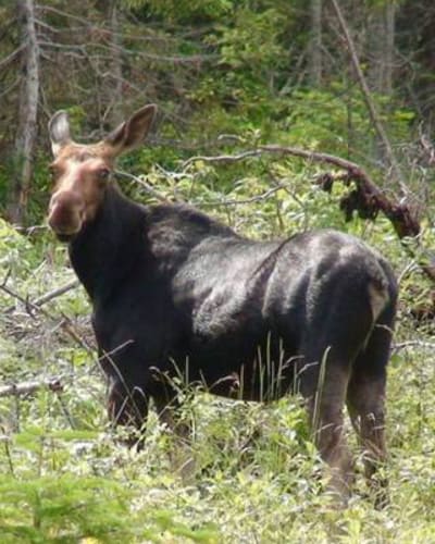 reserve_faunique_de_duniere_1