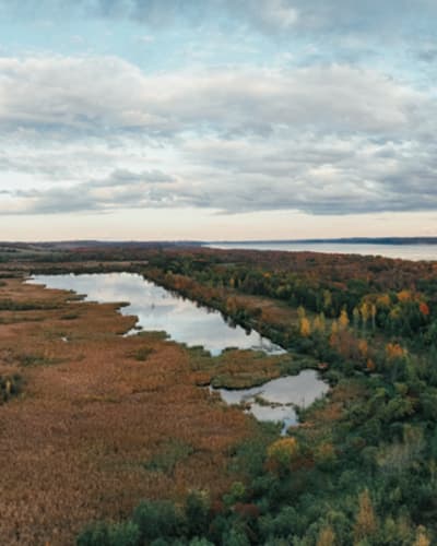 Réserve Naturelle du Marais Léon-Provencher