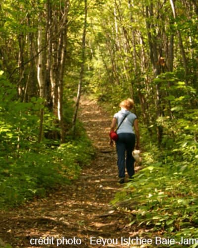 sentier_du_lac_imbeau_1