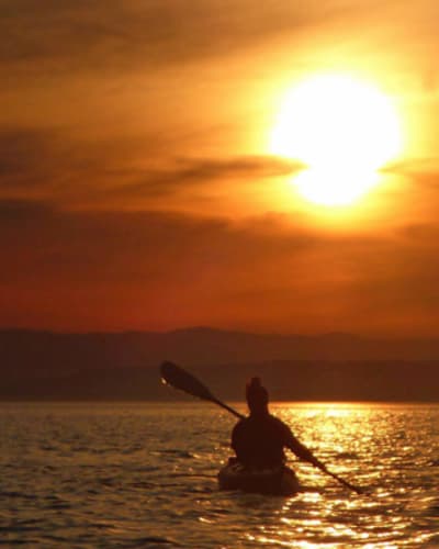 societe_decologie_de_la_batture_du_kamouraska_sebka_1