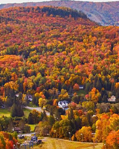 sommet_saint_sauveur_en_couleurs_1