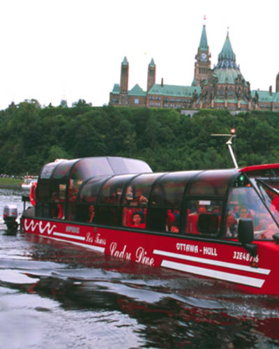 tours_lady_dive_1