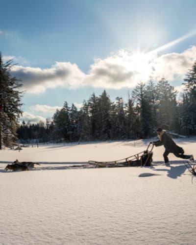traineau_a_chiens_en_petite_nation_1_h