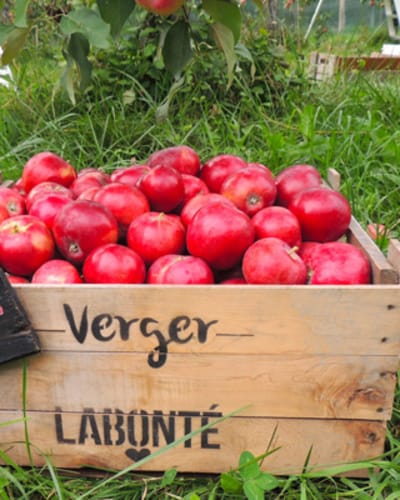 Verger Labonté