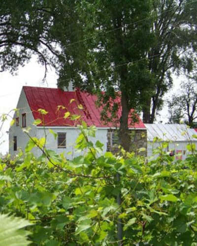 vignoble_bouche_art_1