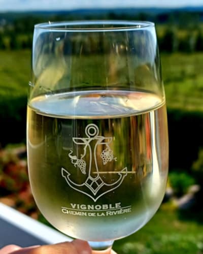 vignoble_chemin_de_la_riviere_1