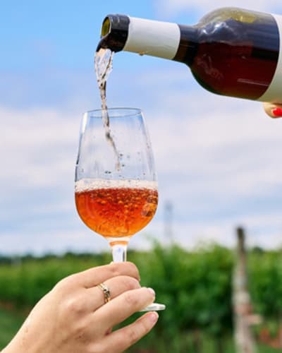 vignoble_de_lavoie_poitevin_1