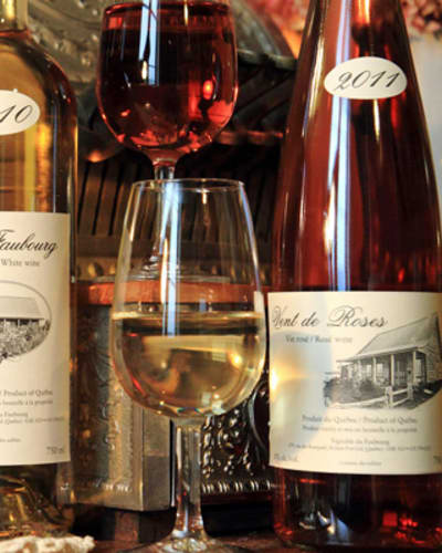 vignoble_du_faubourg_1