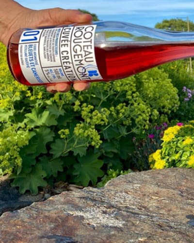 vignoble_et_cidrerie_coteau_rougemont_1