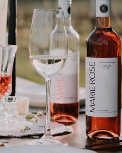 vignoble_et_microbrasserie_les_vents_dange_1