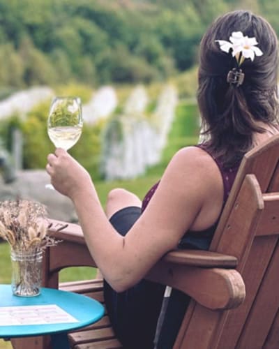 vignoble_les_cotes_du_gavet_1